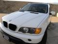 2001 Alpine White BMW X5 4.4i  photo #8