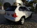 Alpine White - X5 4.4i Photo No. 10