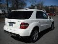 Alabaster White - ML 350 4Matic Photo No. 6