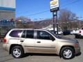 2006 Sand Beige Metallic GMC Envoy SLE 4x4  photo #2