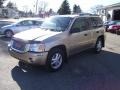 2006 Sand Beige Metallic GMC Envoy SLE 4x4  photo #7