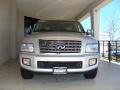 Silver Indulgence - QX 56 4WD Photo No. 2