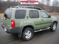 Canteen Green Metallic - Xterra XE V6 4x4 Photo No. 2