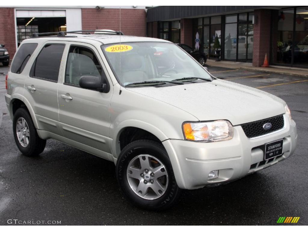 2003 Escape Limited 4WD - Gold Ash Metallic / Medium Dark Pebble photo #3