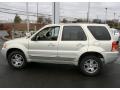 2003 Gold Ash Metallic Ford Escape Limited 4WD  photo #11