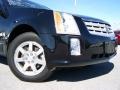 Black Raven - SRX V6 Photo No. 2