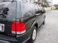 2003 Aspen Green Metallic Lincoln Aviator Luxury AWD  photo #6
