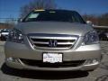 Silver Pearl Metallic - Odyssey Touring Photo No. 3