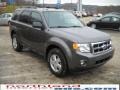 2010 Sterling Grey Metallic Ford Escape XLT V6 4WD  photo #4