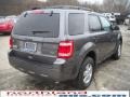 2010 Sterling Grey Metallic Ford Escape XLT V6 4WD  photo #6