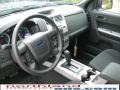 2010 Sterling Grey Metallic Ford Escape XLT V6 4WD  photo #10
