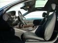 2010 Space Gray Metallic BMW 3 Series 335i xDrive Coupe  photo #9