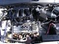 Gold Ash Metallic - Taurus SEL Photo No. 18