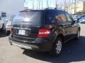 Black - ML 350 4Matic Photo No. 6