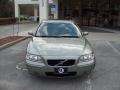 Willow Green Metallic - S60 2.5T Photo No. 2