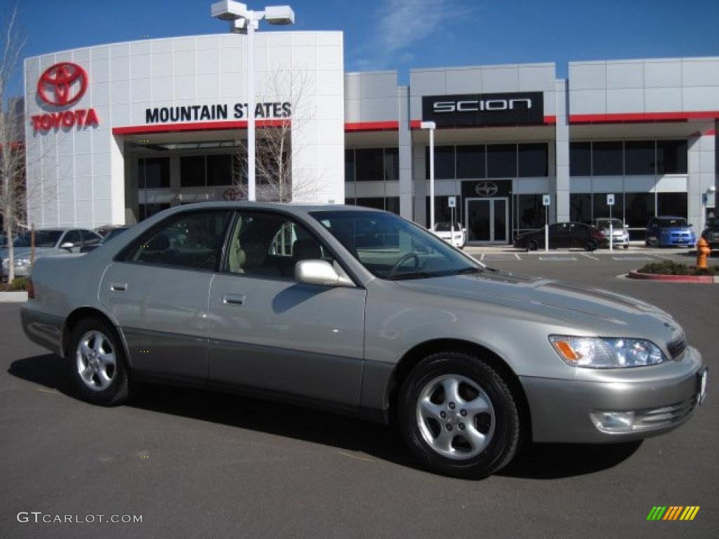 1999 ES 300 - Oyster Gray Pearl / Ivory photo #1