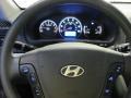 2009 Steel Gray Hyundai Santa Fe GLS 4WD  photo #14