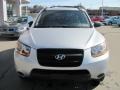Bright Silver - Santa Fe GLS 4WD Photo No. 9