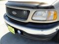 2001 Arizona Beige Metallic Ford F150 Lariat SuperCrew  photo #12