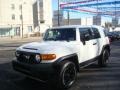 Iceberg White 2008 Toyota FJ Cruiser Trail Teams Special Edition 4WD Exterior