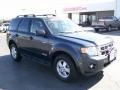 2008 Black Pearl Slate Metallic Ford Escape XLT  photo #1