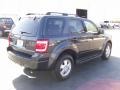 2008 Black Pearl Slate Metallic Ford Escape XLT  photo #4