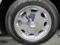 Linen Gold Metallic - 300 Touring Photo No. 7