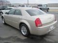 Linen Gold Metallic - 300 Touring Photo No. 16