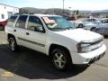 2002 Summit White Chevrolet TrailBlazer LT 4x4  photo #7