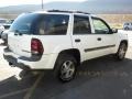 2002 Summit White Chevrolet TrailBlazer LT 4x4  photo #8