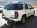 2002 Summit White Chevrolet TrailBlazer LT 4x4  photo #18