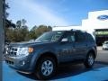 2010 Steel Blue Metallic Ford Escape Limited  photo #1