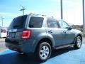 2010 Steel Blue Metallic Ford Escape Limited  photo #3