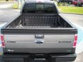 2010 Sterling Grey Metallic Ford F150 Platinum SuperCrew 4x4  photo #11