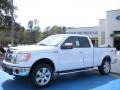 Oxford White 2010 Ford F150 Gallery