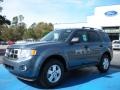 2010 Steel Blue Metallic Ford Escape XLT V6  photo #1