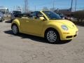 2008 Sunflower Yellow Volkswagen New Beetle SE Convertible  photo #12