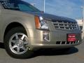 Radiant Bronze - SRX V6 Photo No. 2