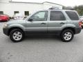 2007 Titanium Green Metallic Ford Escape XLT V6  photo #2