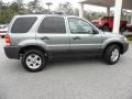 2007 Titanium Green Metallic Ford Escape XLT V6  photo #13