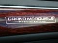 Silver Frost Metallic - Grand Marquis LS Photo No. 25