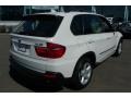 Alpine White - X5 3.0si Photo No. 6