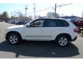 Alpine White - X5 3.0si Photo No. 14