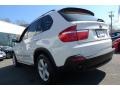 Alpine White - X5 3.0si Photo No. 15