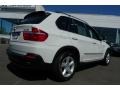 Alpine White - X5 3.0si Photo No. 20