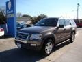 2006 Mineral Grey Metallic Ford Explorer XLT  photo #4