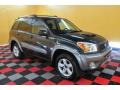 Titanium Metallic - RAV4 4WD Photo No. 1