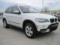 Alpine White - X5 3.0si Photo No. 2