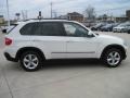 Alpine White - X5 3.0si Photo No. 4