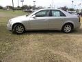 Light Platinum - CTS Sedan Photo No. 2